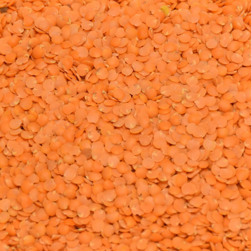 Šošovica červená polená