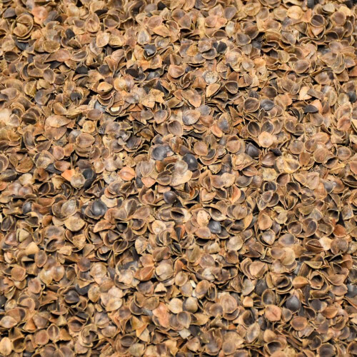 Pohánkové šupky výplň 1 kg