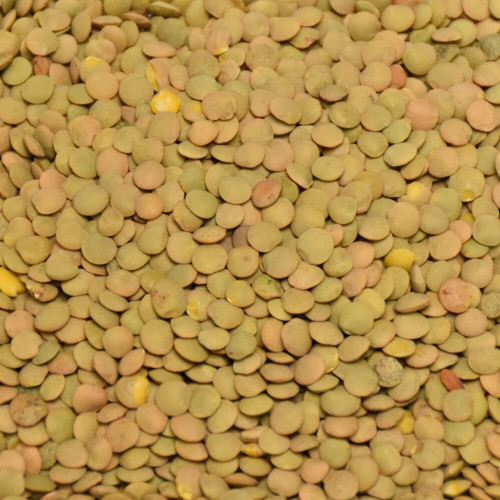 Šošovica veľkozrnná Život bez lepku