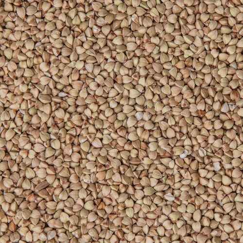 BIO pohanka kroupa Šmajstrla