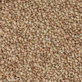 Pohanka kroupa Šmajstrla