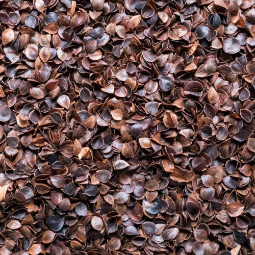 Pohankové slupky Šmajstrla