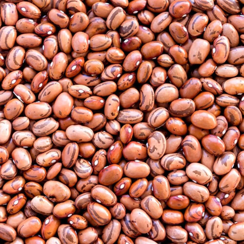 Fazuľa malá hnedá pinto Život bez lepku