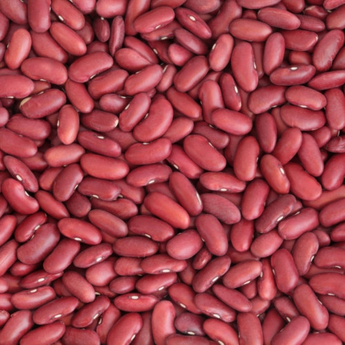 Fazuľa malá červená ledvina Život bez lepku