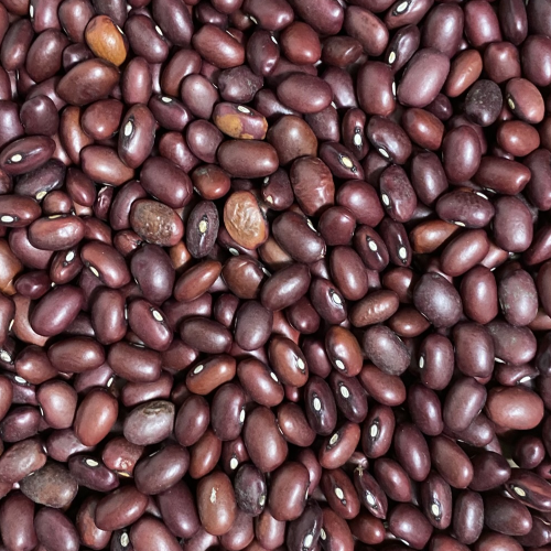 Fazuľa malá farebná Život bez lepku